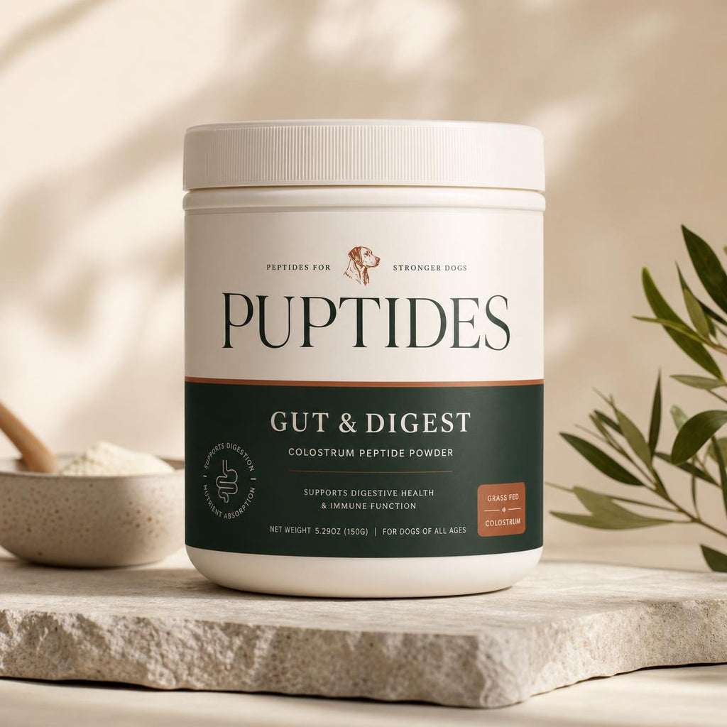 Puptides Gut & Digest colostrum peptide powder jar